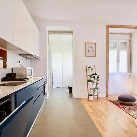 Akicity Anjos In Apartment